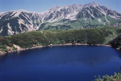 「みくりの夏 立山町室堂平」<br />砂原茂