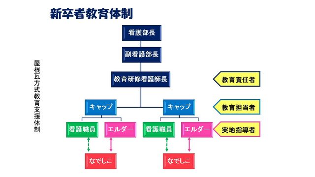 新卒者教育体制