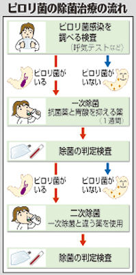 （中）　ピロリ菌の除菌治療の流れ