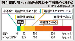 （中）図１　BNP,NT-proBNP値の心不全診断への目安