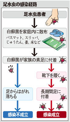 足水虫の感染経路